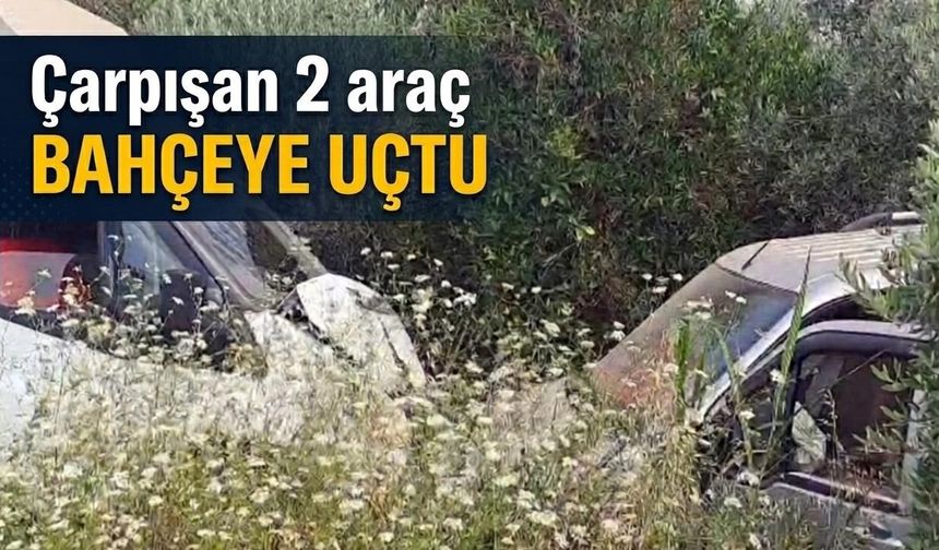 Çarpışan 2 araç bahçeye düştü