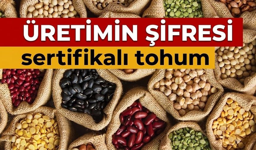 Üretimin şifresi sertifikalı tohum