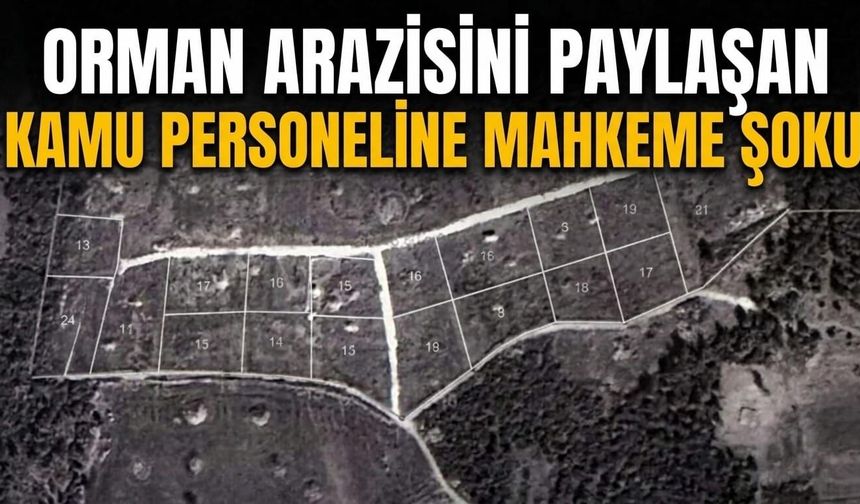 Orman arazisini paylaşan kamu personeline mahkeme şoku