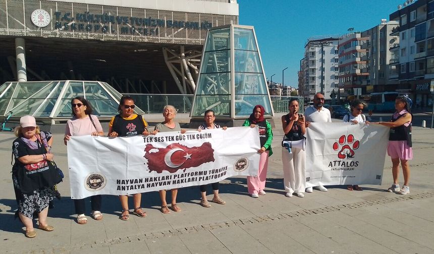 Nekropol Müzesi nöbetçileri: Vicdanı ayağa kaldırmak istiyoruz