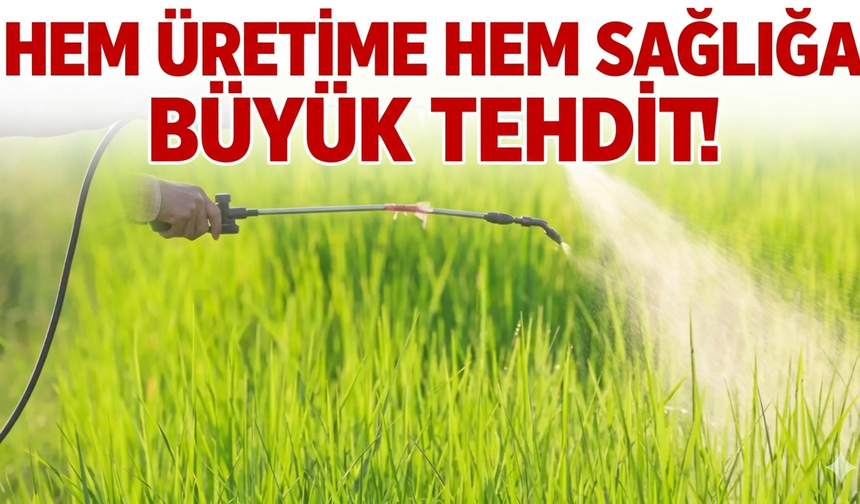 Hem üretime hem sağlığa büyük tehdit!