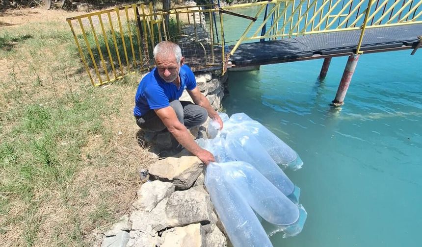 Manavgat'ta 400 bin yavru balık suya bırakıldı