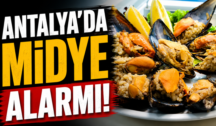 Antalya’da midye alarmı!