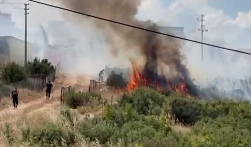 Anız yangını korkuttu