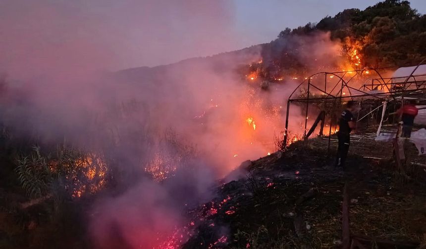 Antalya'da 8 ilçede 34 yangın