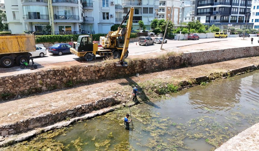 Konyaaltı'da kanal temizliği
