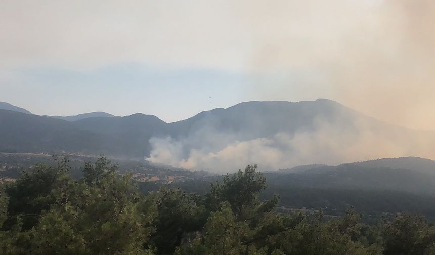 Yangına müdahale sürüyor