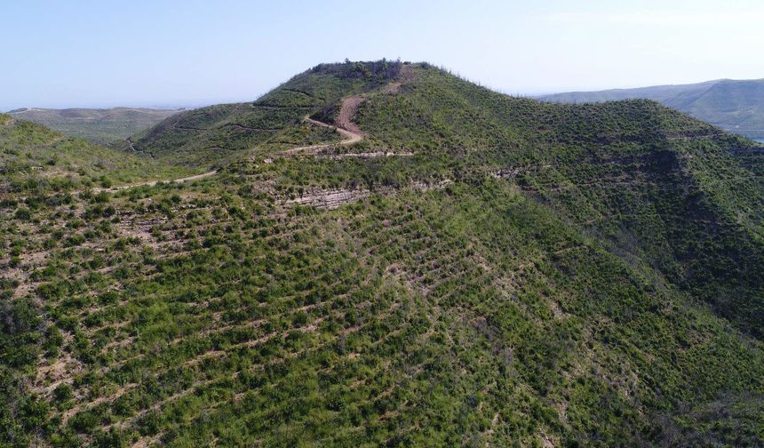 Küllerinden yeniden doğan Manavgat
