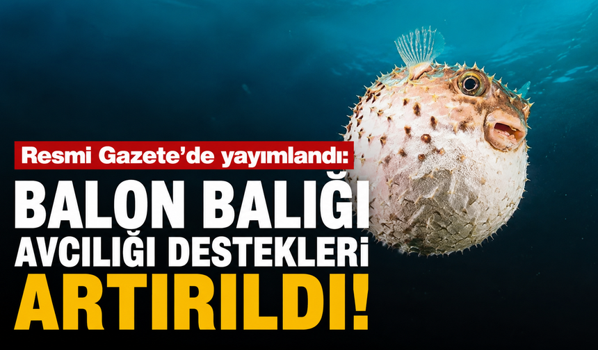 Resmi Gazete'de yayımlandı: Balon balığı avcılığı destekleri artırıldı!
