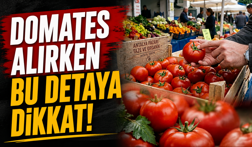 Domates alırken bu detaya dikkat!