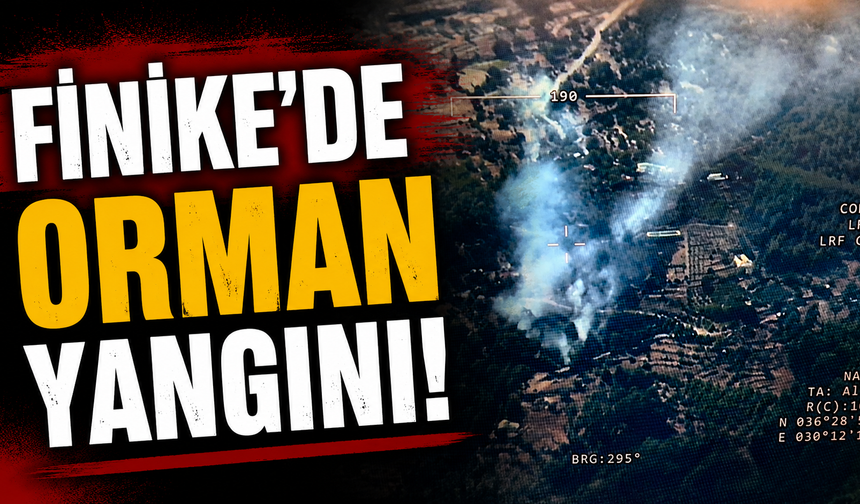 Finike'de orman yangını!