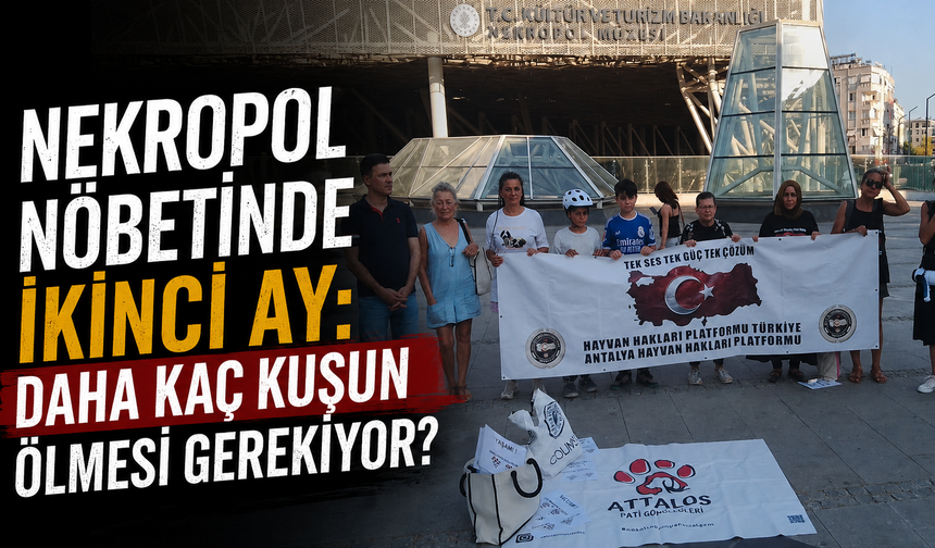 Nekropol nöbetinde ikinci ay:  Daha kaç kuşun ölmesi gerekiyor?