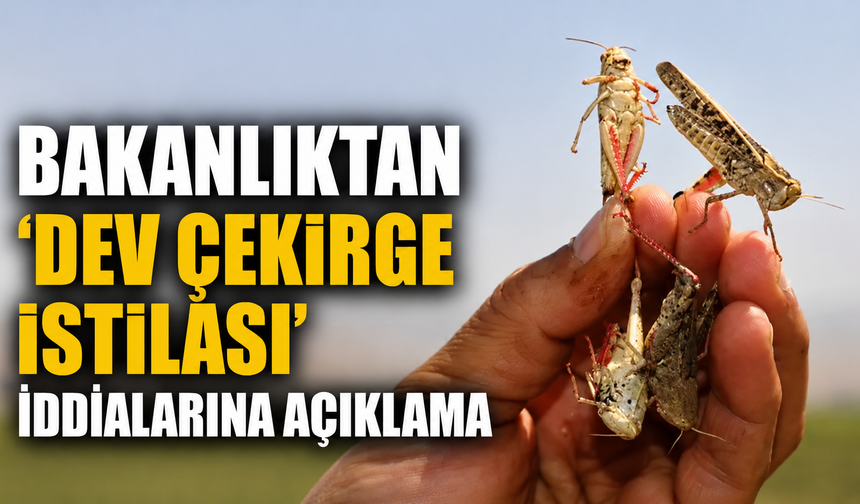 Bakanlıktan 'dev çekirge istilası' iddialarına açıklama