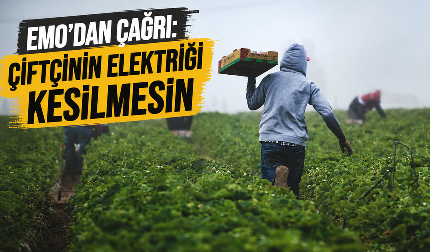 EMO’dan çağrı: Çiftçinin elektriği kesilmesin
