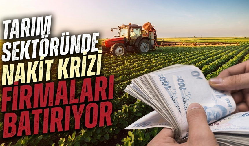 Tarım sektöründe nakit krizi firmaları batırıyor