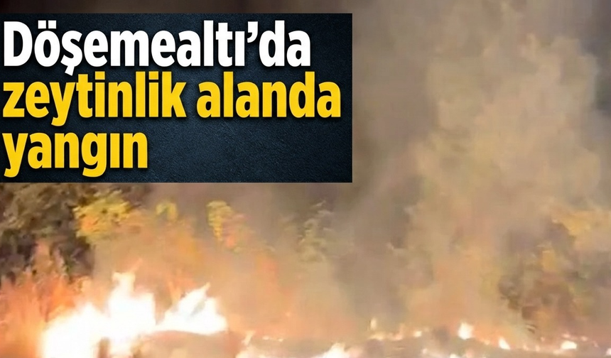Döşemealtı'da zeytinlik alanda yangın
