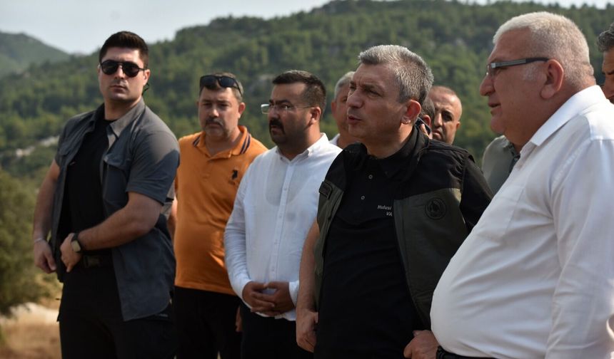 Vali Şahin yangın bölgesinde