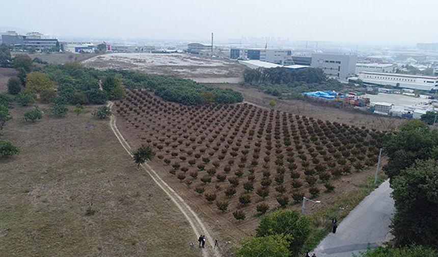 Manavgat’ta 111 milyon liralık arsa satışı