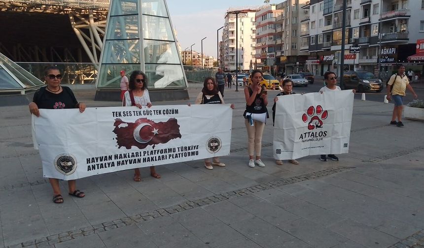 Nekropol Müzesi önündeki kuş nöbeti 51'inci gününde