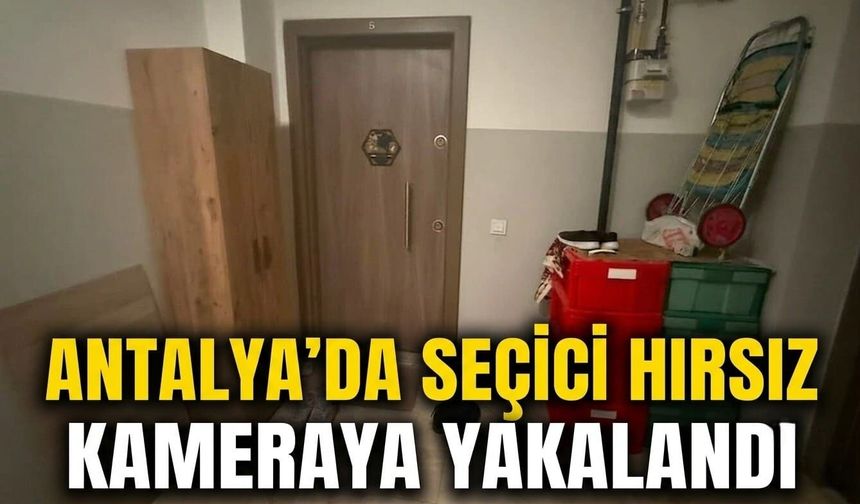 Antalya'da seçici hırsız kameraya yakalandı