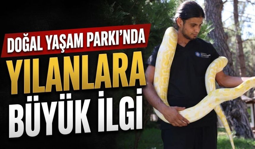 Doğal Yaşam Parkı'nda yılanlara büyük ilgi