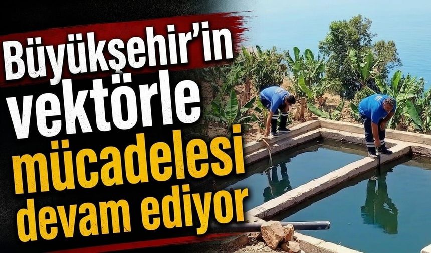 Büyükşehir'in vektörle mücadelesi devam ediyor