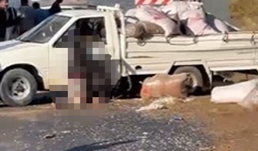 Alanya'da kamyonet sürücüsü kazada hayatını kaybetti