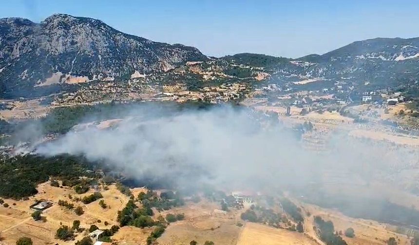 Antalya'da orman yangını