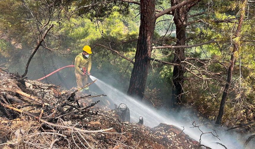 Alanya'da orman yangını