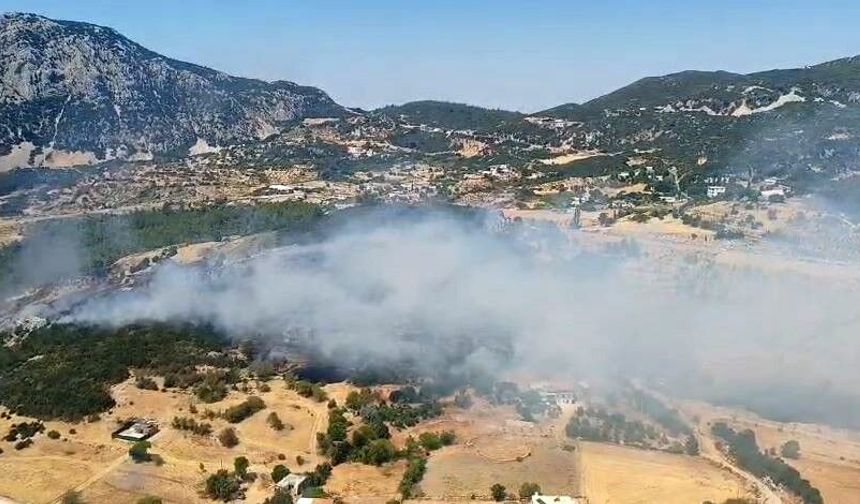 Orman yangını 2,5 saatte kontrol altına alındı