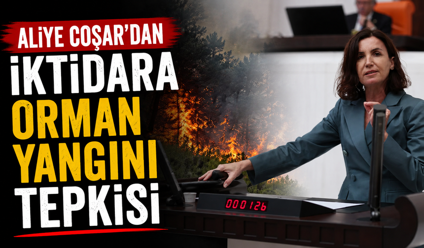 Aliye Coşar’dan iktidara orman yangını tepkisi