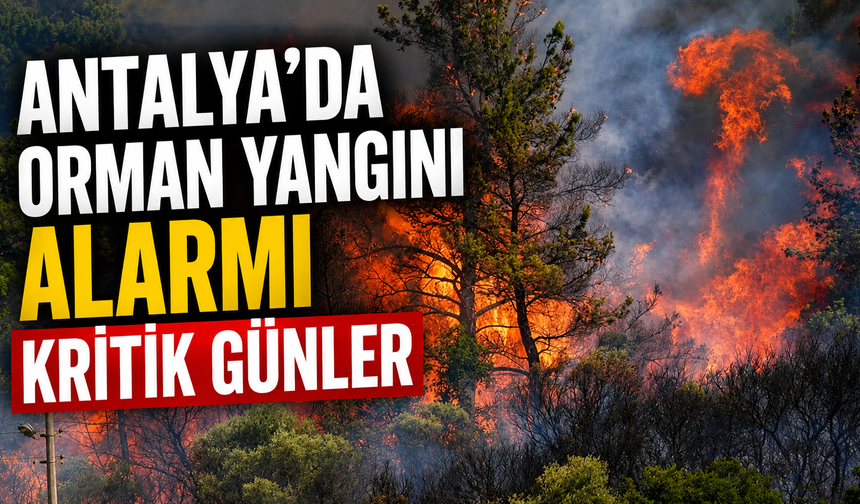 Antalya’da orman yangını alarmı: Kritik günler