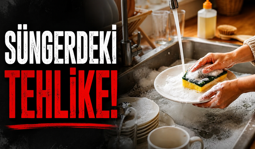 Süngerdeki tehlike!