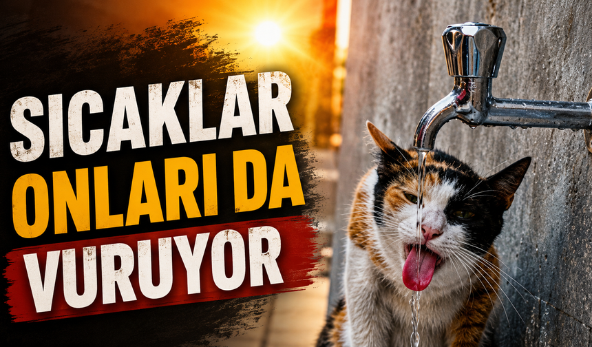 Sıcaklar onları da vuruyor