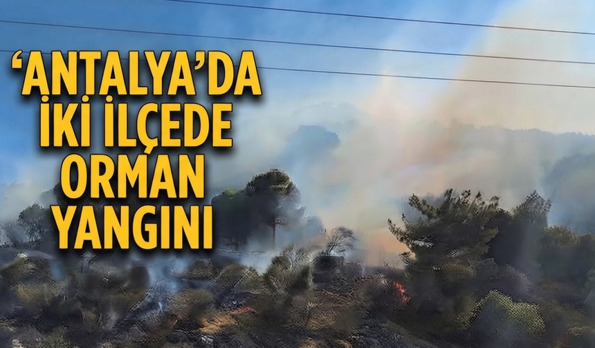 Antalya'da iki ilçede orman yangını