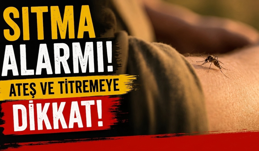 Sıtma alarmı: Ateş ve titremeye dikkat