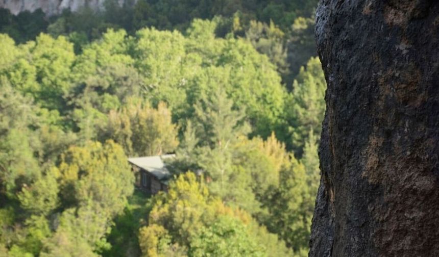 Geyikbayırı Orman Parkı ihaleye çıkıyor