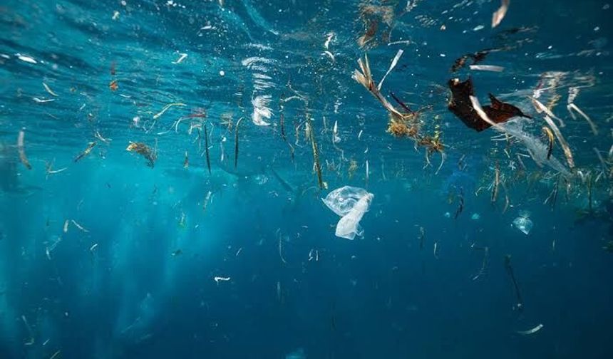 Plastik kirliliğinde “beşikten mezara” vurgusu