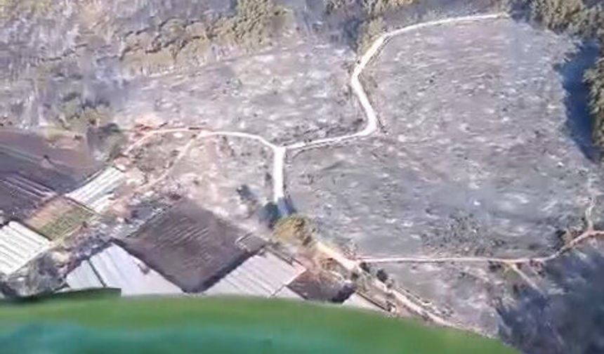 Kaş'taki orman yangını kontrol altında