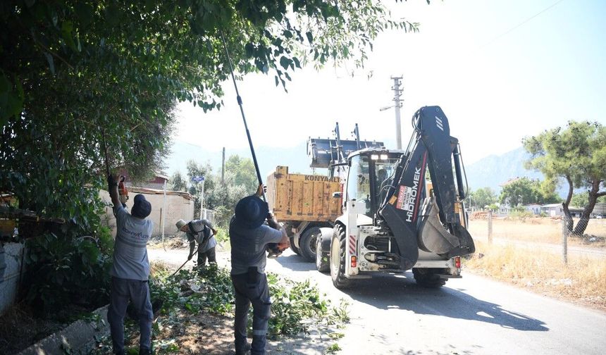 Konyaaltı'da budama çalışması