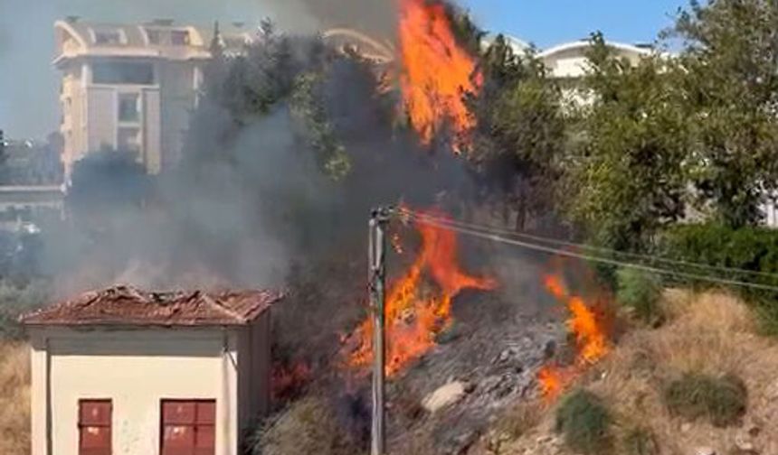 Manavgat’ta elektrik trafosu yangına neden oldu