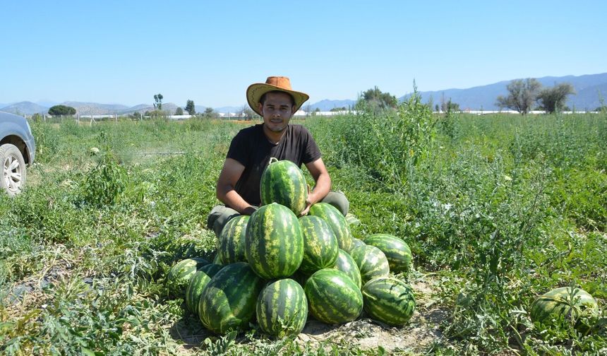 Korkuteli karpuzu pazardaki yerini aldı