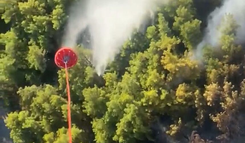 Manavgat'ta orman yangını