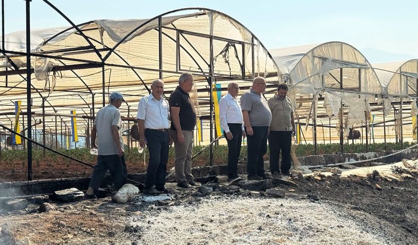 Yangında 3 bin 500 dönüm alan etkilendi