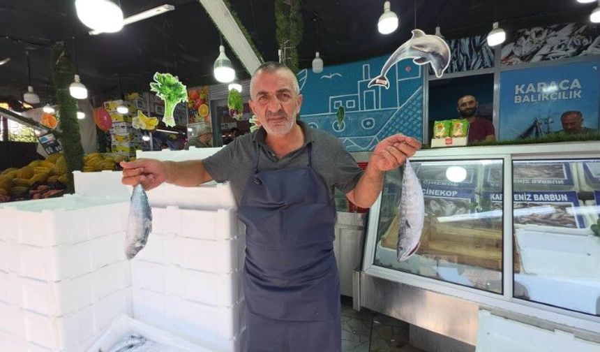 Palamut tezgaha indi, vatandaş sıraya girdi