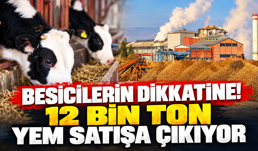 Besicilerin dikkatine! 12 bin ton yem satışa çıkıyor