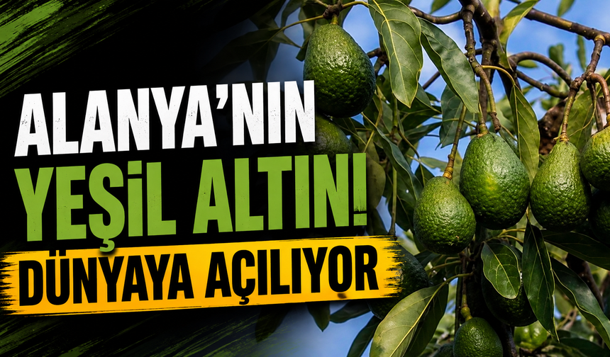 Alanya’nın yeşil altını dünyaya açılıyor