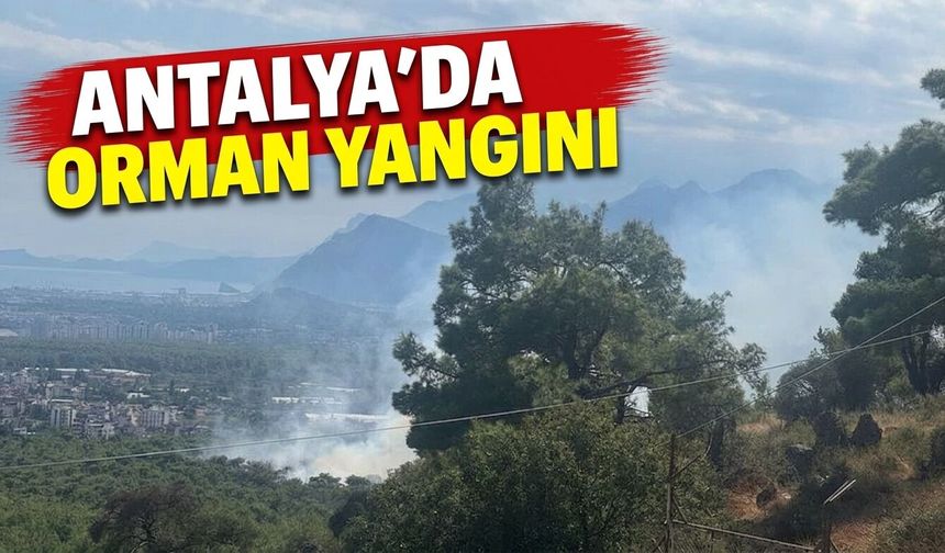 Antalya'da orman yangını