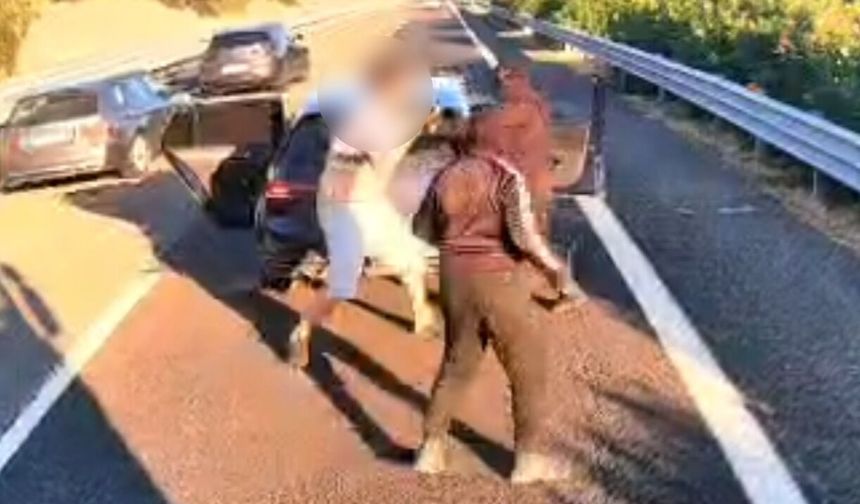 İtalya'da Antalya firmasına ait TIR gasbedildi