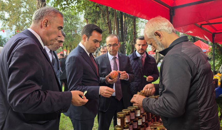 Gazipaşa'da festival başladı